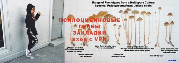 стаф Балабаново