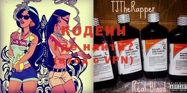 молекула духа Балахна