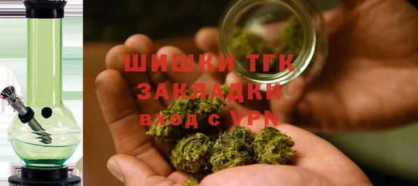 молекула духа Балахна