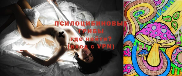 гидропоника Кодинск